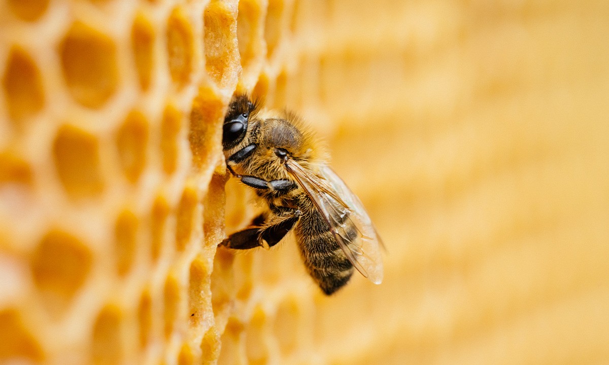 Apache Hive Query Troubleshooting – Grundlagen zur Fehlerbehebung bei Hive-Abfragen