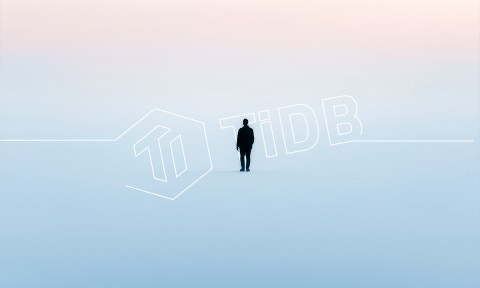 Über den Horizont hinaus: horizontale Skalierungen im MySQL-Stil mit TiDB