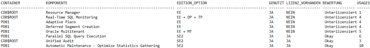 Oracle Lizenzierung Abbildung 3
