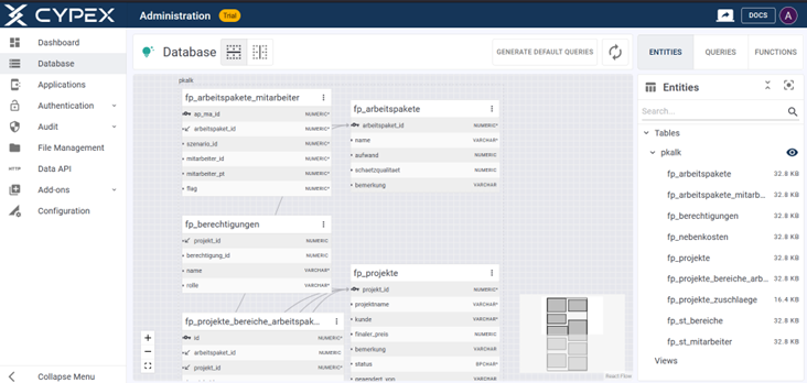 Ansicht der Projektdatenbank