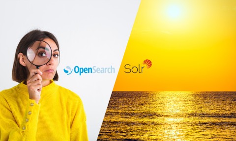 Welche SearchEngine passt zu dir? OpenSearch und Solr im Vergleich
