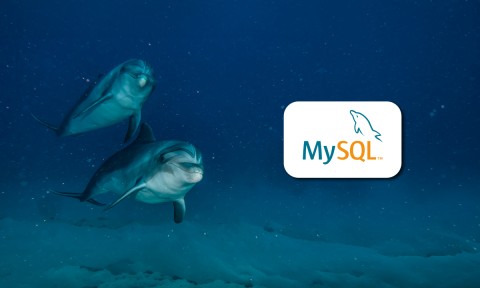 Quo Vadis MySQL? Ein neues LTS-Release und eine alte Frage