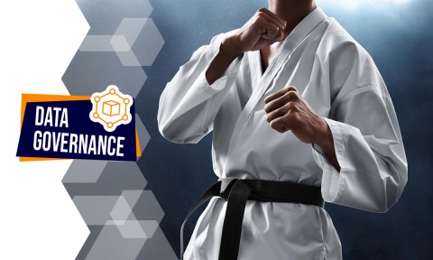 Data Governance #17 – The Karate Kid: „Wax on, wax off“ oder „Auf welcher Data-Governance-Kompetenzstufe steht Ihre Organisation?“