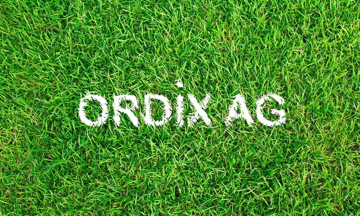 Grasgrün? Mein erstes Jahr bei ORDIX – Eine Feelgood-Story